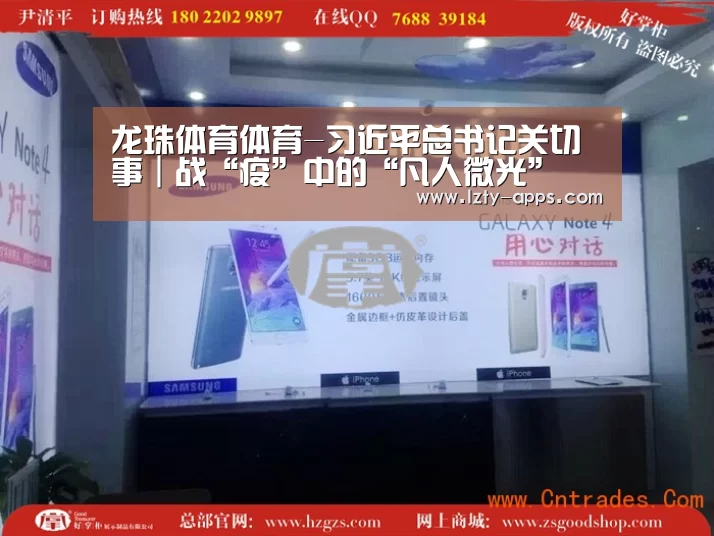 龙珠体育