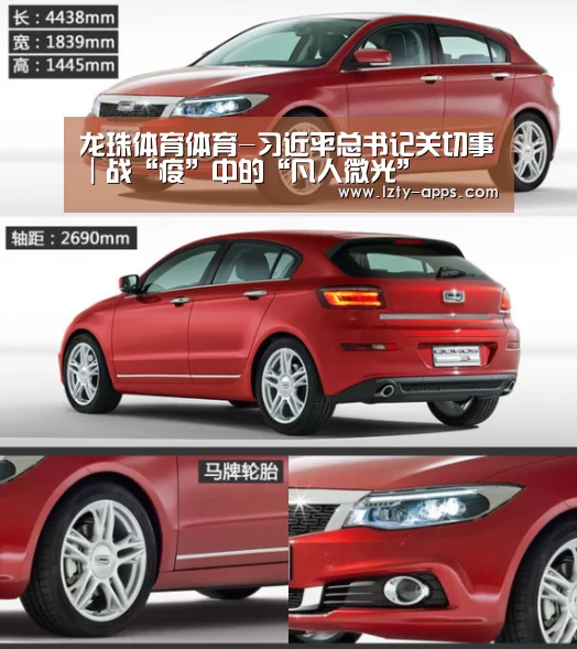 龙珠体育