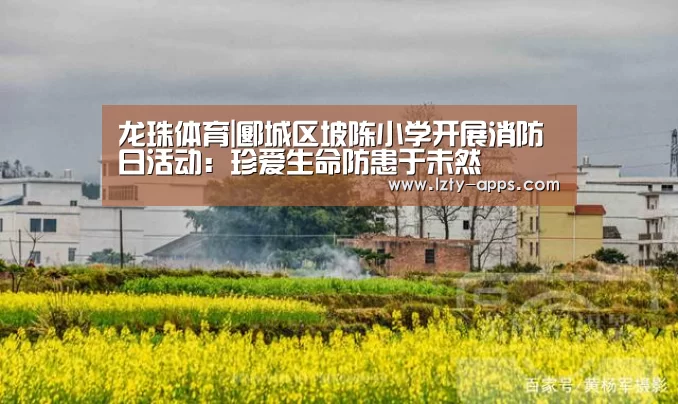 龙珠体育体育