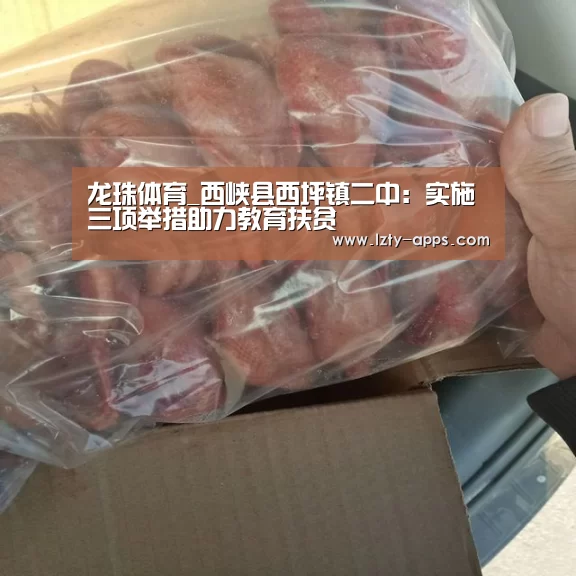龙珠体育体育