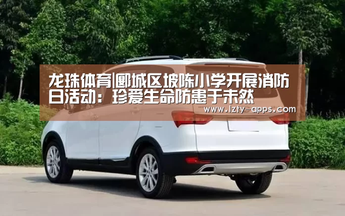 龙珠体育体育