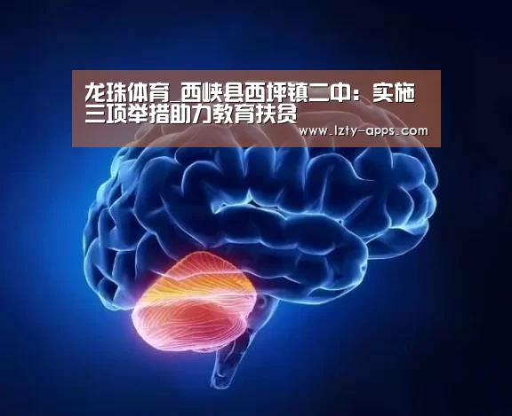 龙珠体育体育