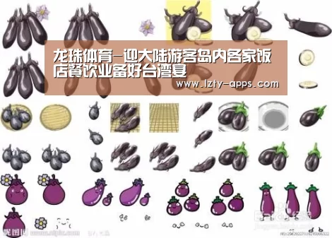 龙珠体育