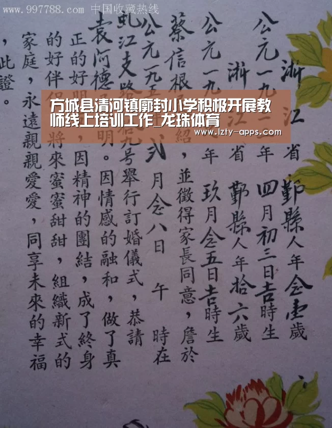 龙珠体育