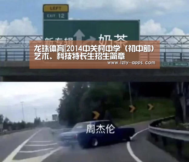 龙珠体育