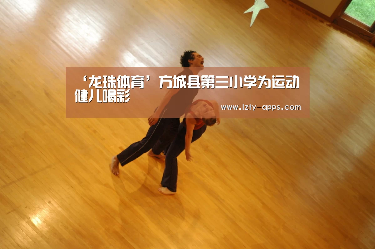 龙珠体育体育