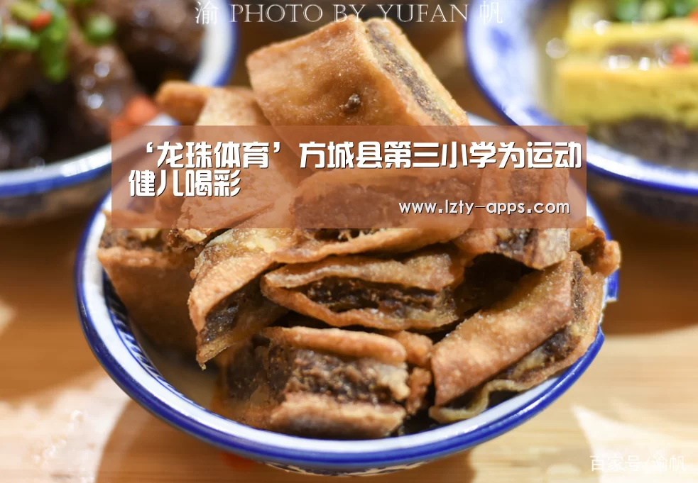 龙珠体育体育