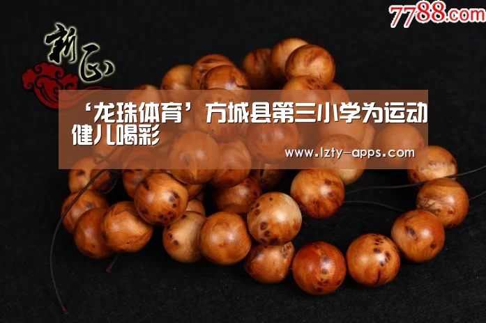 龙珠体育