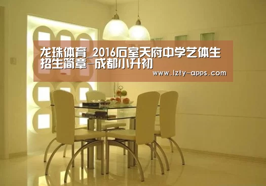 龙珠体育