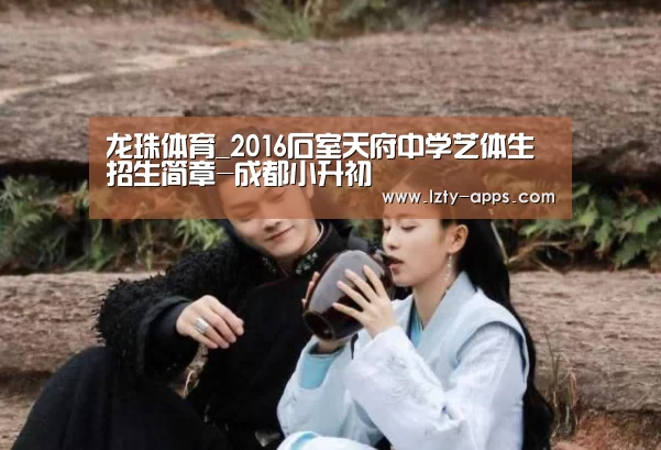 龙珠体育