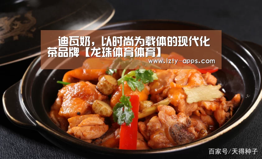 龙珠体育体育