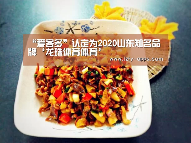 龙珠体育