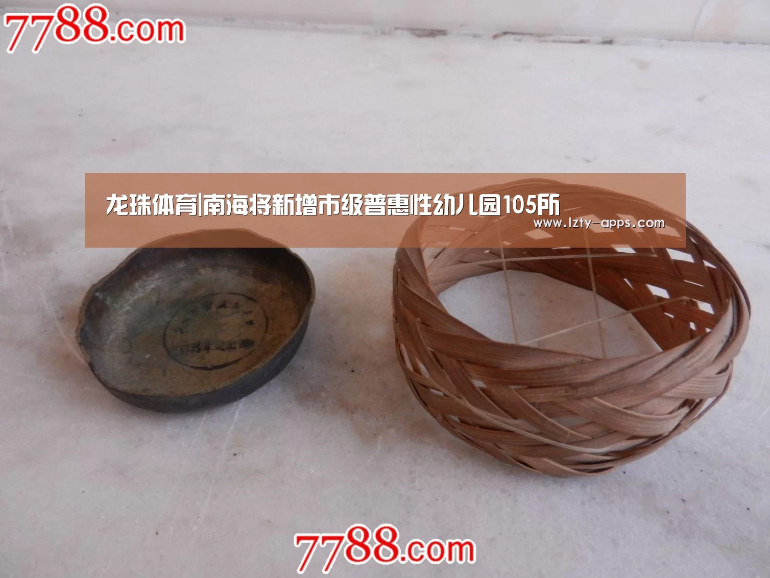龙珠体育