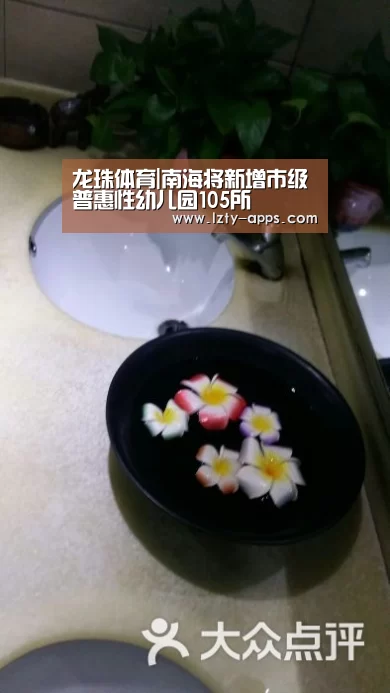 龙珠体育体育