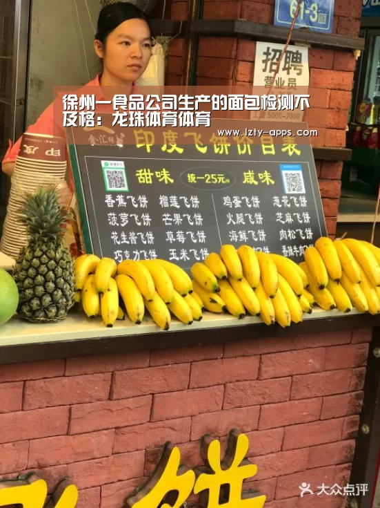 龙珠体育