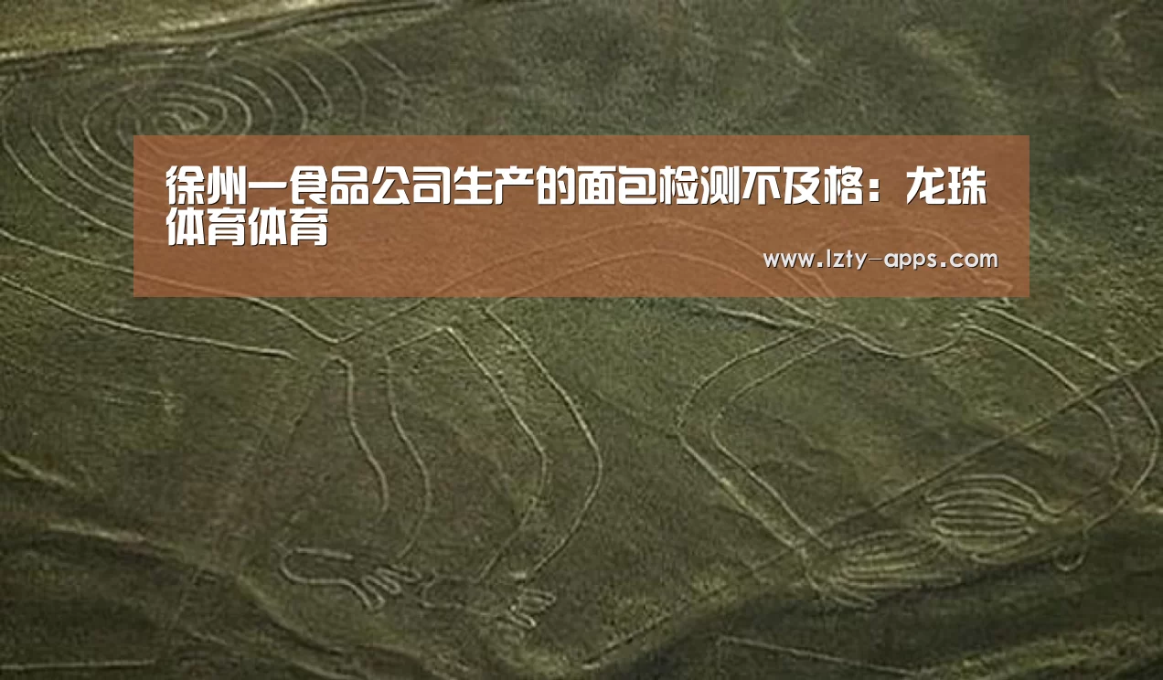 龙珠体育体育