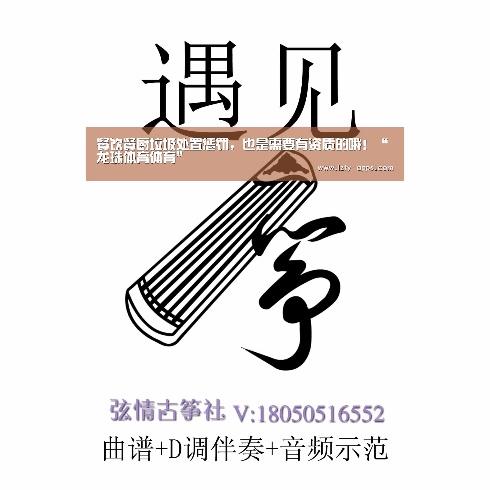 龙珠体育体育