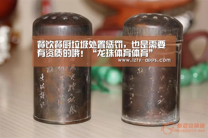 龙珠体育