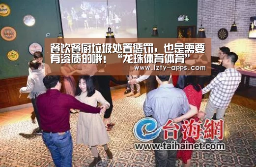 龙珠体育体育